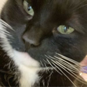 Meet your Posher, Lucy